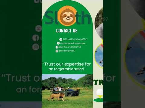 Https Www Instagram Com Reel DROtSTzjcTs Igsh MWw0eGhjNTh3MTJzaw