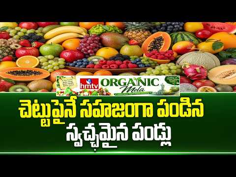 చెట్టుపైనే సహజంగా పండిన స్వచ్ఛమైన పండ్లు! |En- ripe |hmtv Organic Mela 2026 |hmtv - HMTVNEWS