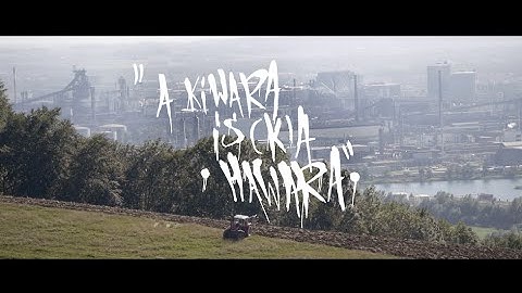 A Kiwara is (k)a Hawara - the collaboration between GERHARD HADERER and ERICH WILLNER