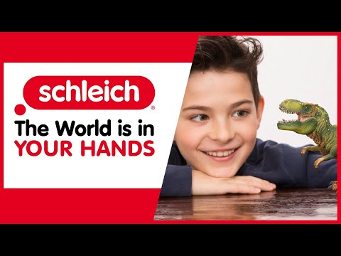 Imagination in Your Hands