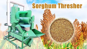 High-Performance Sorghum Thresher Machine for Sorghum, Pearl Millet, Raperseed
