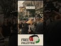 تحيا تحيا تحيا فلسطين Food Love Viral Explore فلسطين Palestine تحيا تحيا تحيا فلسطين Food Love Viral Explore فلسطين Palestine