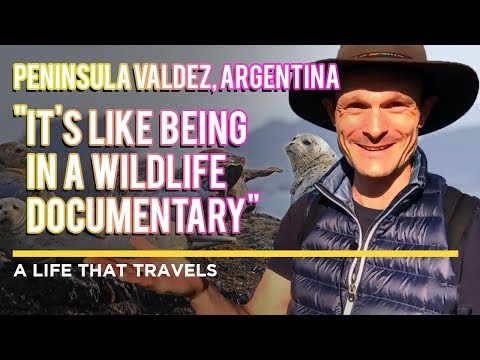 Peninsula Valdez, Argentina [A Life That Travels Travels]