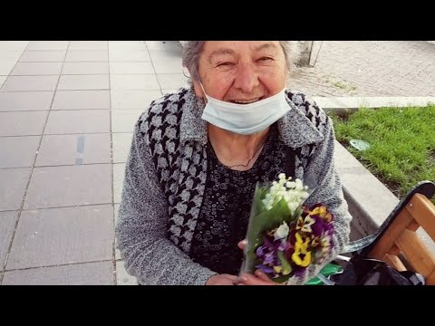 შევიძინე ყველა ყვავილი, რომელსაც ეს ბებო ყიდდა