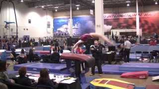 2014 Jerrell Steele Vault 1