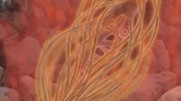 xImmortalDarknessx MEP part - Atomic:She