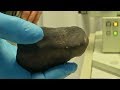 4.5 billion-year-old meteorite found in back garden