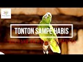 Ada Yang Aneh Coba Perhatikan Suara Burung Ini Lagi Viral Omkicau(.mp3 .mp4) Mp3 - Mp4 Download