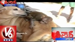 Kothi Katha In Warangal - Teenmaar News