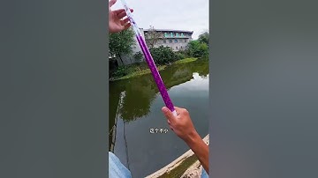 Câu cá dưới chân cầu cá ăn mạnh giật mỏi tay