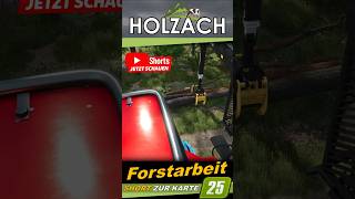 🌲 Forstarbeit in Holzach 🌲 26 🌲 #ls25 #fs25