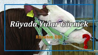 Rüyada Yular Görmek Rüya Tabiri