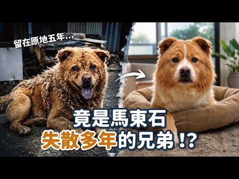Rescuing a dog who lived on the streets for five years leads us to one we knew two years ago!? | ...