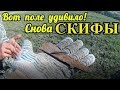 Вот поле удивило Снова СКИФЫ!КОП 2019