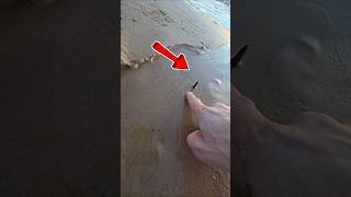 Extremely Dangerous Public Beach