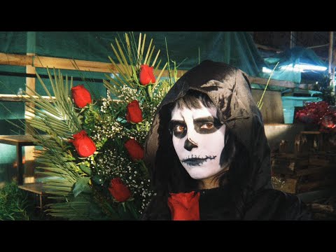 Paracaidistas - Barcos de Papel (Videoclip Oficial)