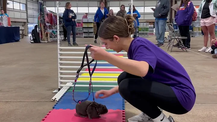 High Jump Champion at Ohio Mini-Convention Rabbit Hopping Contest by Gracie Weber