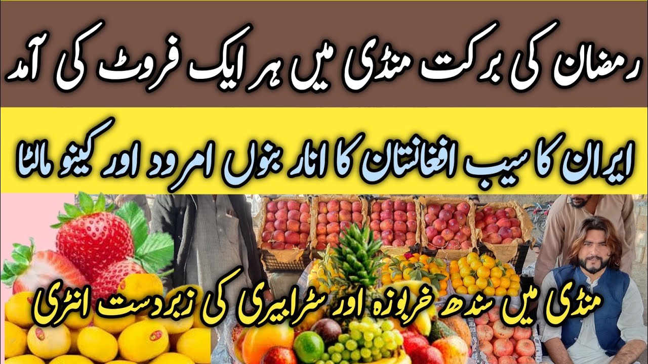 Fruit wholesale rate update || local and imported fruits || Best ...
