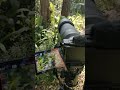 BTS Filming Nature Close Up in the Forest