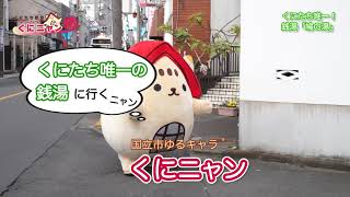 くにニャン出没 くにたち散歩 くにニャン歩 くにたちnavi