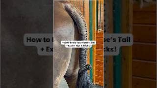How to Do a Hunter Tail Braid (Part 2)
