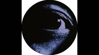 スイス12” Tomohiko Kira Evil Dead Trap (Original Soundtrack) WRWTFWW050 We Release Whatever  /00250 12