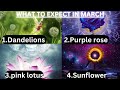 Which flower you are drawn to  lets reveal your month of march bonus  channeled message pick a 