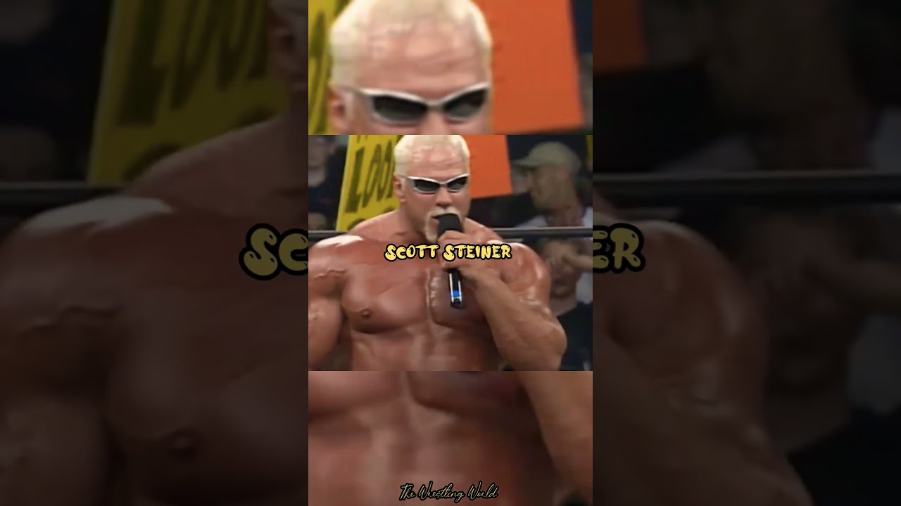 Wrestlers that carrier's ended due to bad attitude and backstage brawl 😢