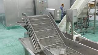 18 Rollers Grading Machine