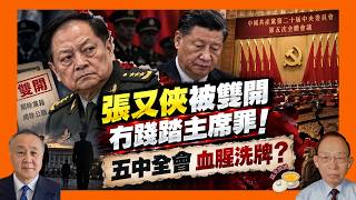 張又俠劉振立終被雙開 踐踏軍委主席負責制罪名消失｜五中全會前各派大廝殺｜李克強遺孀向黨中央維權爭取說法［對話人間 EP91］#張又俠 #劉振立 #李克強 #胡春華 #程虹 #胡錦濤 #溫家寶 #習近平