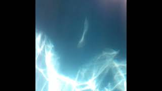 TBOTU (instrumental) - Loana 