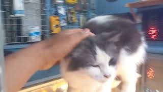 Si Syelly Udah Sore Belum Mandi Masih Jaga Ponsel