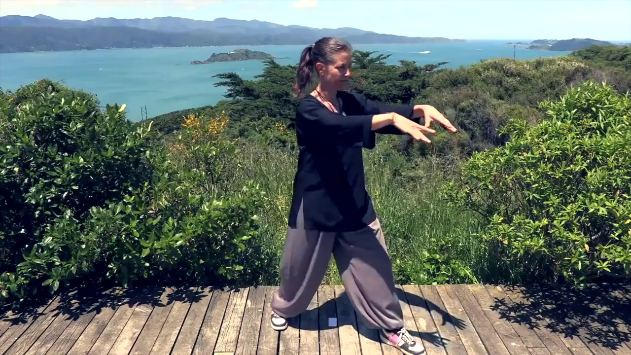 Tai Chi 5 Minutes A Day Module 01 Easy For Beginners YouTube
