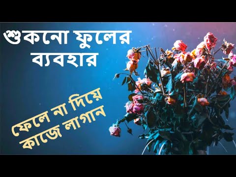 ভিডিও: শুকনো ফুল কীভাবে তৈরি করবেন