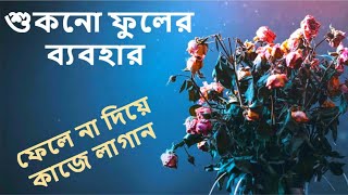 শুকনো ফুলের ব্যবহার জানলে আপনি চমকে যাবেন | dry flodwer hacks | B2U Tips Bangla