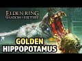 Elden Ring Golden Hyppo potamus [No hits taken Boss]♦