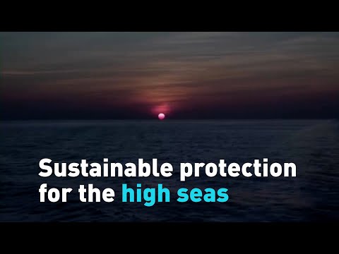 Sustainable protection for the high seas