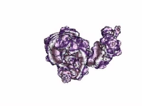 3D IFS Morph