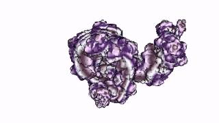 3D IFS Morph