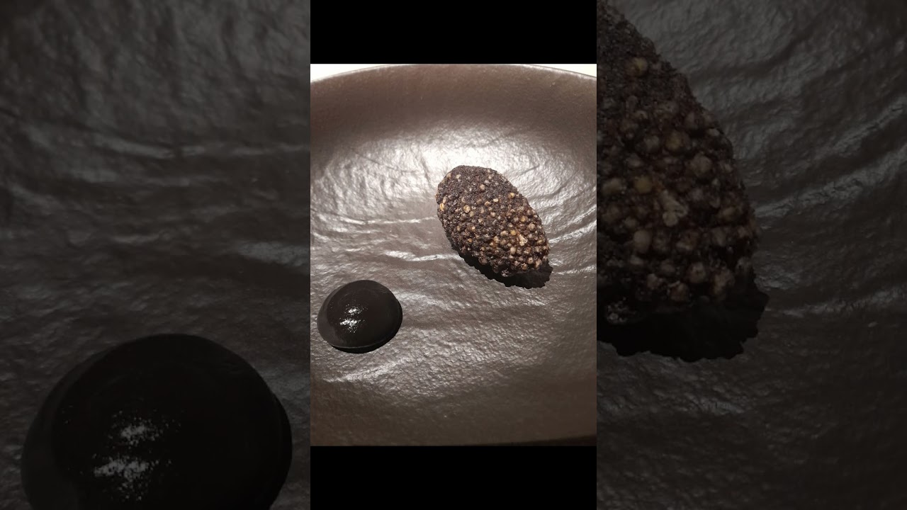 Exploring Gatto Verde by Massimo Bottura: A Unique Culinary Experience