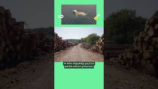 Doğum Oranlarının Düşmesi Konusunda Endişelenmeli Miyiz?