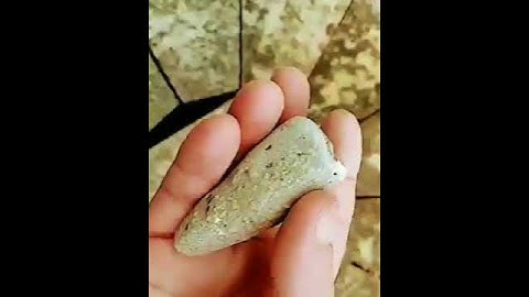 Rock Stone Fossil Finding ~Full Video on channel~ @falseteethrealtarotAllRocks