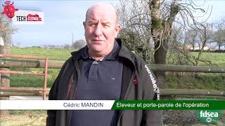 - Femelles Bouchères Une Belle Opération, Le Travail Des Éleveurs Récompensé