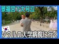 ソウルの大学病院に行って景福宮で大暴れしてくれた日。【韓国在住・日韓夫婦・한일부부】