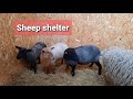 Pallet build, sheep shelter. Part 1.
