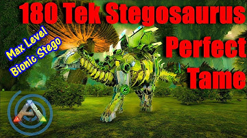 180 Perfect Tame Tek Stego AKA Stegosaurus