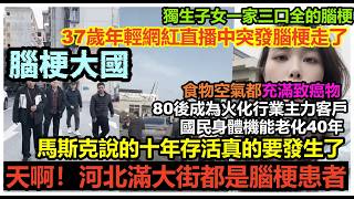河北腦梗氾濫公園擠滿腦梗患者30歲成為腦梗心梗高發人群基本盤要完了食物空氣都充滿塑化劑和重金屬
