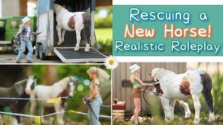 Rescuing a New Horse + a Big Surprize! Schleich Realistic Roleplay Ep. 1 S. 2