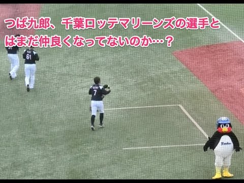 つば九郎、千葉ロッテマリーンズの選手とはまだ仲良くなってないのか…？