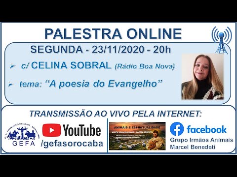 Assista: Palestra online - c/ CELINA SOBRAL (23/11/2020)